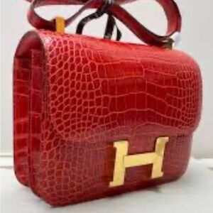 Hermes Alligator Constance